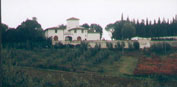 San Michele