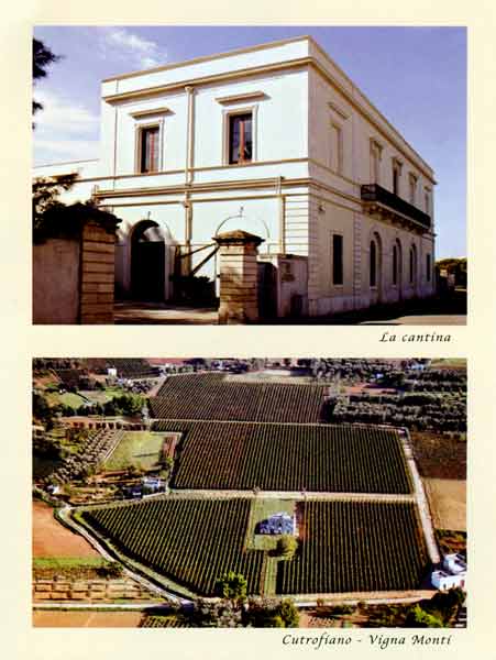 Cantina Fiorentino
