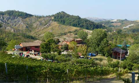 Corte d'Aibo Azienda