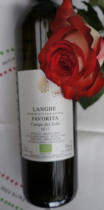 Langhe Favorita Biowein