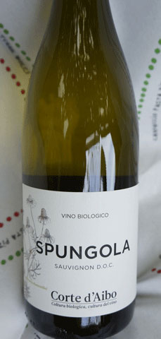 Spungola Sauvignon Biowein